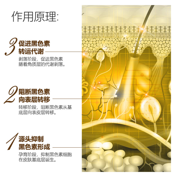 若清耀白小棕瓶作用原理