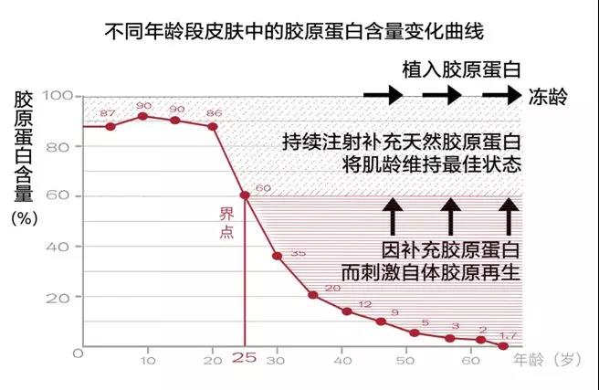 不同年龄段皮肤中的胶原蛋白含量变化曲线
