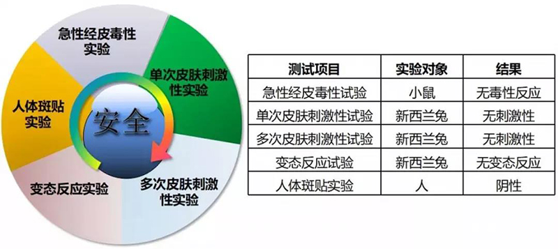 重组人源胶原蛋白的临床试验之安全性评价实验