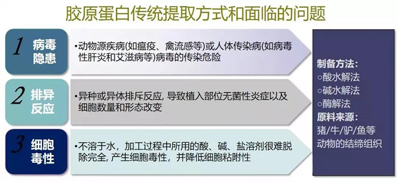 胶原蛋白传统提取方式存在很多问题和隐患