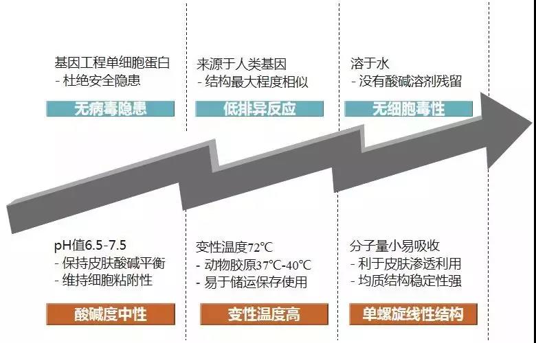 重组人源胶原蛋白的特性