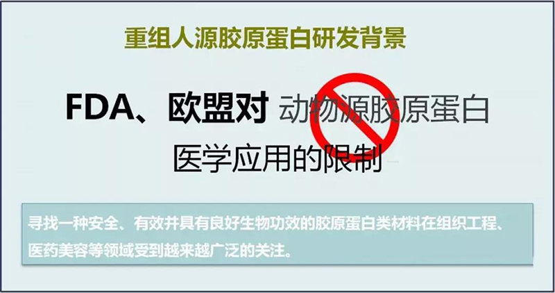 胶原蛋白传统提取方式存在很多问题和隐患